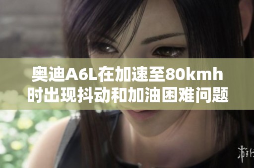 奥迪A6L在加速至80kmh时出现抖动和加油困难问题