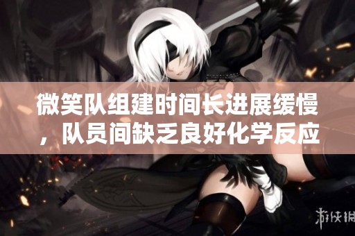 微笑队组建时间长进展缓慢，队员间缺乏良好化学反应