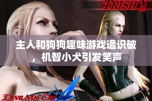 主人和狗狗趣味游戏遭识破，机智小犬引发笑声