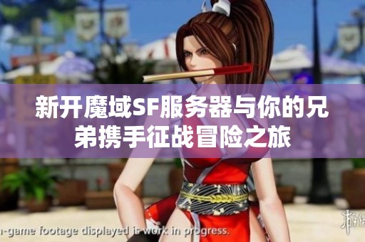 新开魔域SF服务器与你的兄弟携手征战冒险之旅
