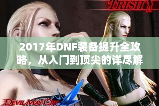 2017年DNF装备提升全攻略，从入门到顶尖的详尽解析