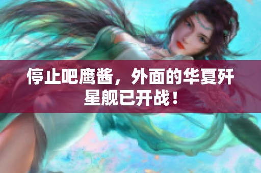 停止吧鹰酱，外面的华夏歼星舰已开战！