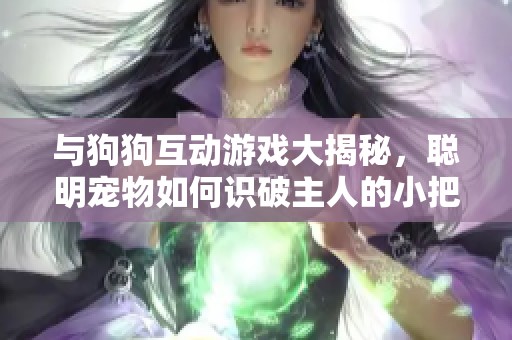 与狗狗互动游戏大揭秘，聪明宠物如何识破主人的小把戏