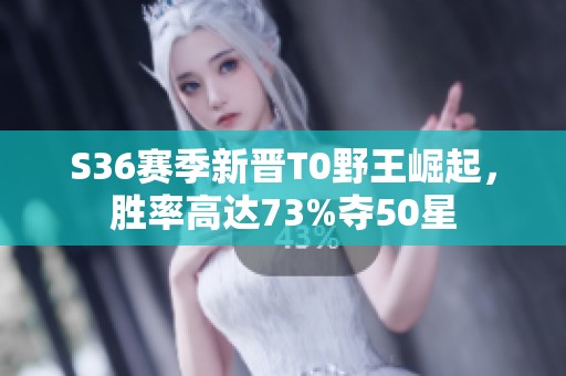 S36赛季新晋T0野王崛起，胜率高达73%夺50星