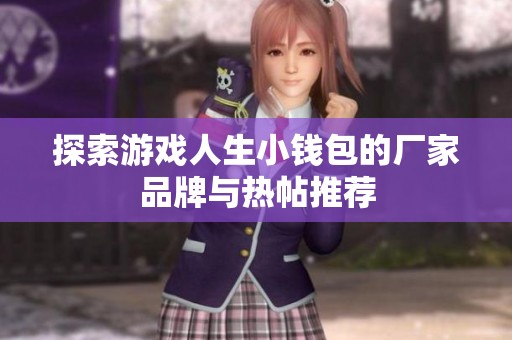 探索游戏人生小钱包的厂家品牌与热帖推荐