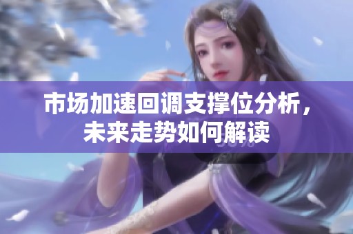 市场加速回调支撑位分析，未来走势如何解读