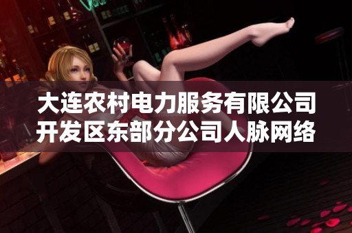 大连农村电力服务有限公司开发区东部分公司人脉网络分析与发展潜力探讨