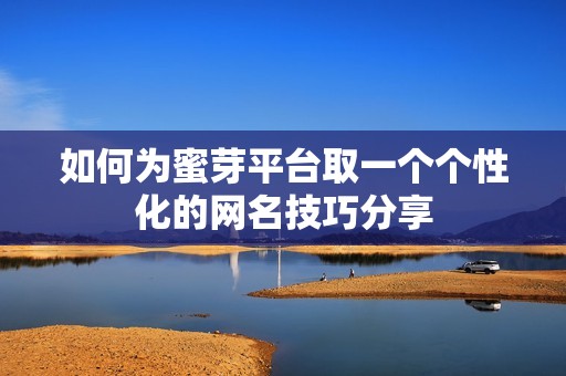 如何为蜜芽平台取一个个性化的网名技巧分享