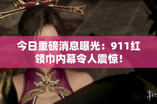 今日重磅消息曝光：911红领巾内幕令人震惊！