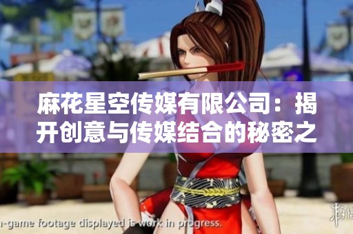 麻花星空传媒有限公司：揭开创意与传媒结合的秘密之旅