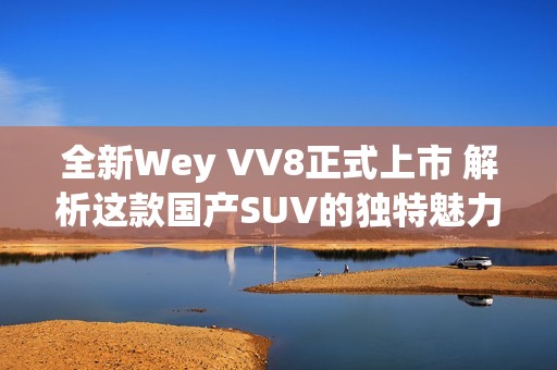 全新Wey VV8正式上市 解析这款国产SUV的独特魅力与优势
