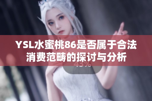 YSL水蜜桃86是否属于合法消费范畴的探讨与分析