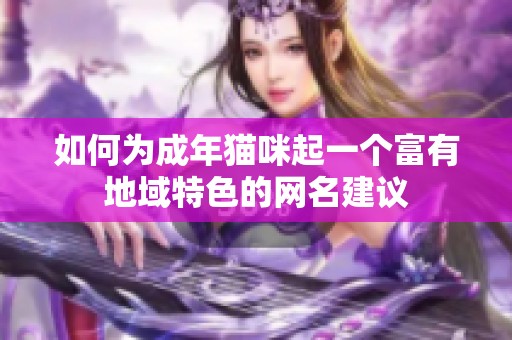 如何为成年猫咪起一个富有地域特色的网名建议