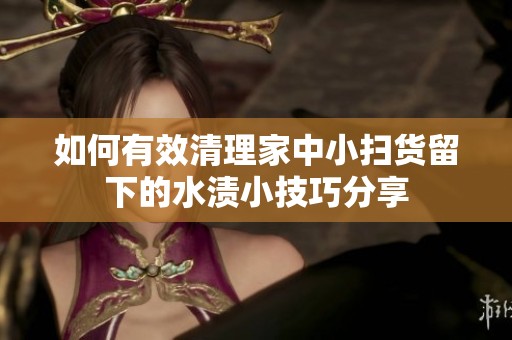 如何有效清理家中小扫货留下的水渍小技巧分享