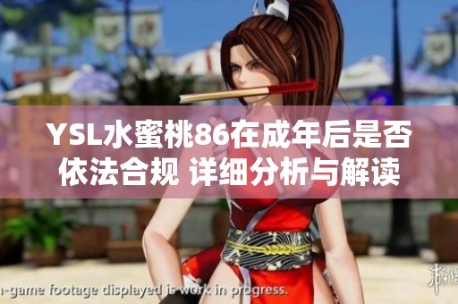 YSL水蜜桃86在成年后是否依法合规 详细分析与解读