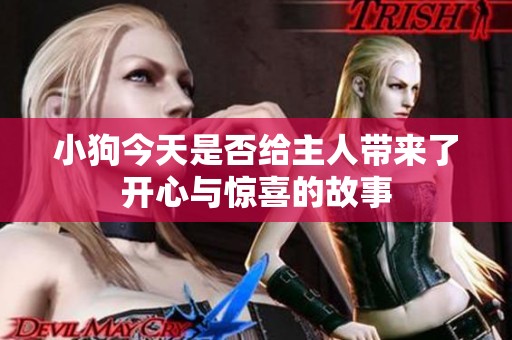 小狗今天是否给主人带来了开心与惊喜的故事