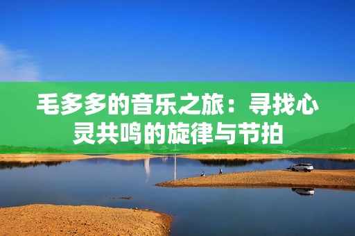毛多多的音乐之旅：寻找心灵共鸣的旋律与节拍