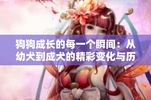 狗狗成长的每一个瞬间：从幼犬到成犬的精彩变化与历程
