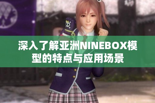 深入了解亚洲NINEBOX模型的特点与应用场景