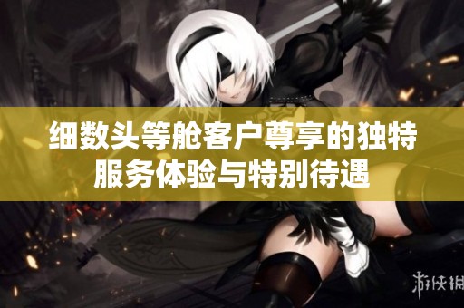细数头等舱客户尊享的独特服务体验与特别待遇