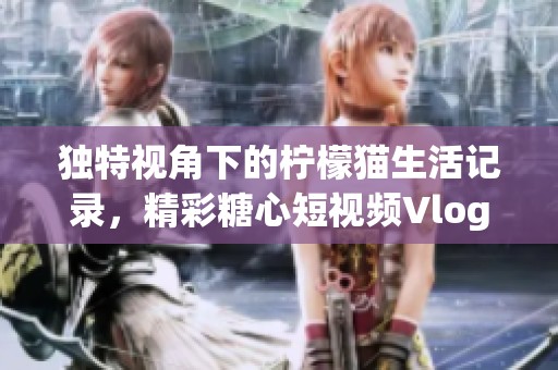 独特视角下的柠檬猫生活记录，精彩糖心短视频Vlog合集