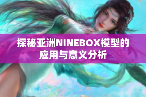 探秘亚洲NINEBOX模型的应用与意义分析