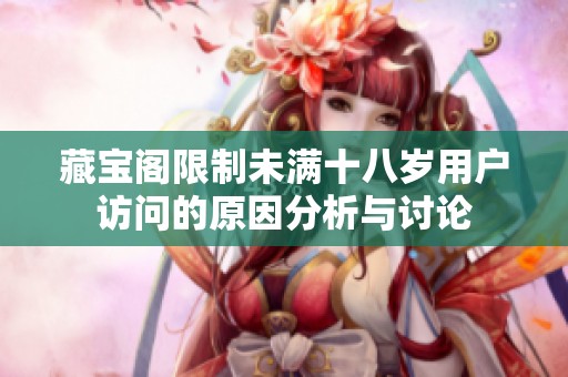 藏宝阁限制未满十八岁用户访问的原因分析与讨论