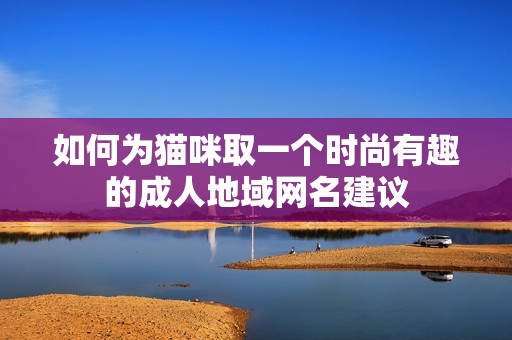 如何为猫咪取一个时尚有趣的成人地域网名建议