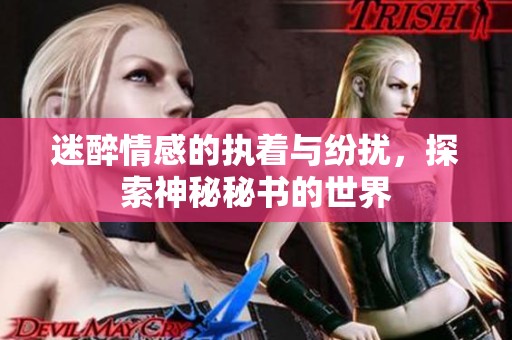 迷醉情感的执着与纷扰，探索神秘秘书的世界