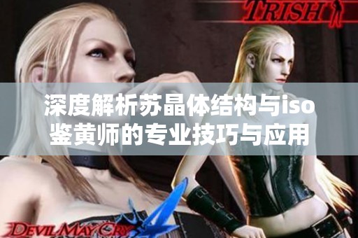 深度解析苏晶体结构与iso鉴黄师的专业技巧与应用