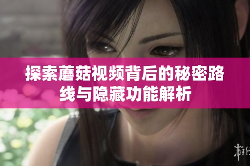 探索蘑菇视频背后的秘密路线与隐藏功能解析