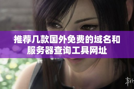 推荐几款国外免费的域名和服务器查询工具网址