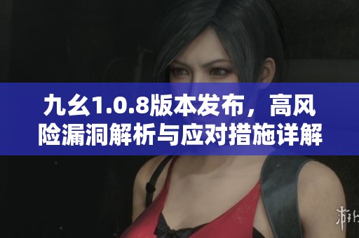 九幺1.0.8版本发布，高风险漏洞解析与应对措施详解