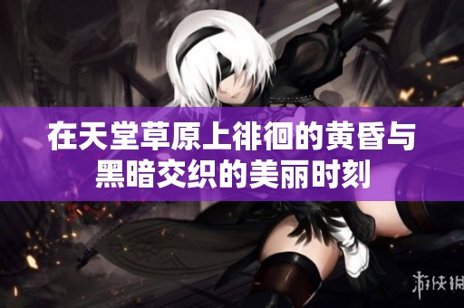 在天堂草原上徘徊的黄昏与黑暗交织的美丽时刻