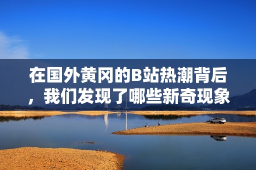 在国外黄冈的B站热潮背后，我们发现了哪些新奇现象
