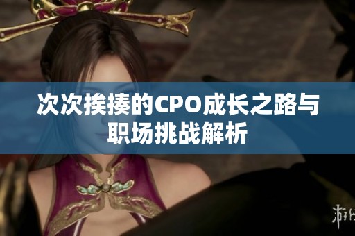 次次挨揍的CPO成长之路与职场挑战解析