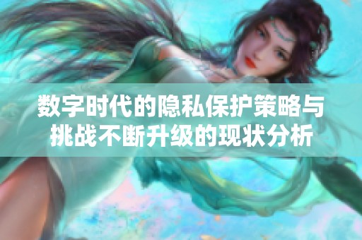 数字时代的隐私保护策略与挑战不断升级的现状分析