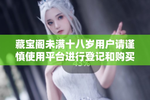 藏宝阁未满十八岁用户请谨慎使用平台进行登记和购买