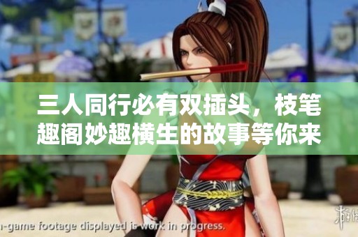 三人同行必有双插头，枝笔趣阁妙趣横生的故事等你来读