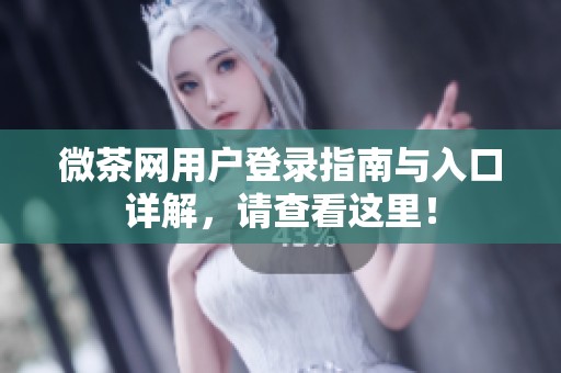 微茶网用户登录指南与入口详解，请查看这里！