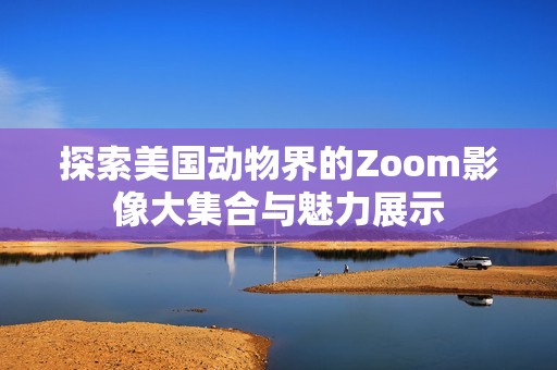 探索美国动物界的Zoom影像大集合与魅力展示