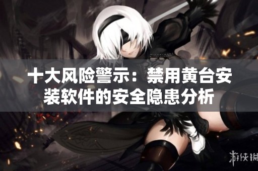 十大风险警示：禁用黄台安装软件的安全隐患分析