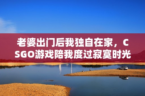 老婆出门后我独自在家，CSGO游戏陪我度过寂寞时光