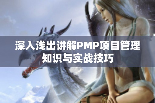 深入浅出讲解PMP项目管理知识与实战技巧