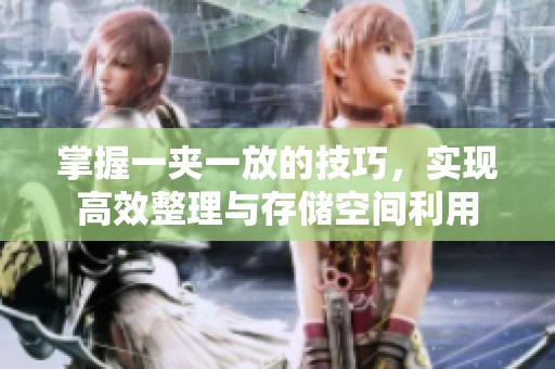 掌握一夹一放的技巧，实现高效整理与存储空间利用