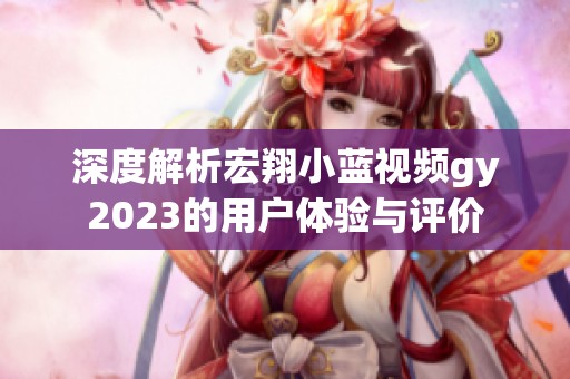 深度解析宏翔小蓝视频gy2023的用户体验与评价