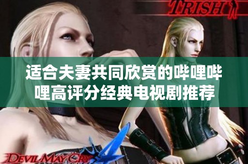 适合夫妻共同欣赏的哔哩哔哩高评分经典电视剧推荐