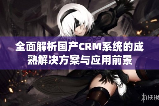 全面解析国产CRM系统的成熟解决方案与应用前景