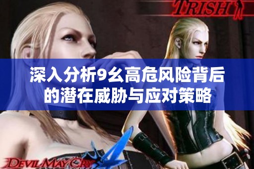 深入分析9幺高危风险背后的潜在威胁与应对策略