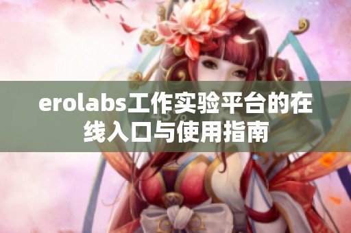 erolabs工作实验平台的在线入口与使用指南